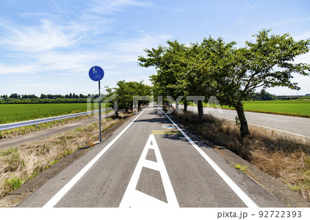 つくば霞ヶ浦りんりんロード つくば霞ヶ浦りんりんロード 92722393