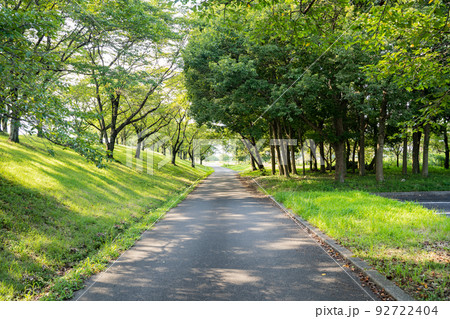 池のある静かな公園の休日の風景 池のある静かな公園の休日の風景 92722404