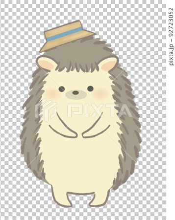 正面を向いて立つハリネズミのイラスト 92723052