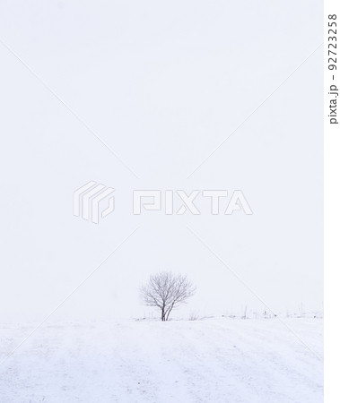 Simple winter landscape with Isolated tree on a field during snow storm, vertical, Slovakia, Europe Simple winter landscape with Isolated tree on a field during snow storm, vertical, Slovakia, Europe 92723258