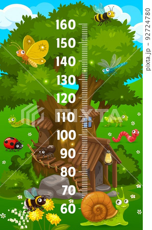 Cartoon insect characters and oak tree house, kids height chart growth measure vector meter. Child height measure scale with butterfly, ladybug and worm, snail and bumblebee, dragonfly and grasshopper Cartoon insect characters and oak tree house, kids height chart growth measure vector meter. Child height measure scale with butterfly, ladybug and worm, snail and bumblebee, dragonfly and grasshopper 92724780