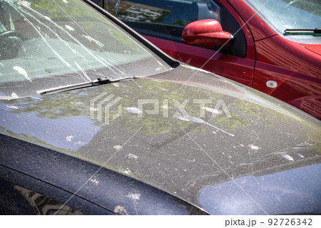 hood of car with lot of bird droppings, bad parking concept hood of car with lot of bird droppings, bad parking concept 92726342
