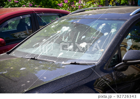 hood of car with lot of bird droppings, bad parking concept 92726343