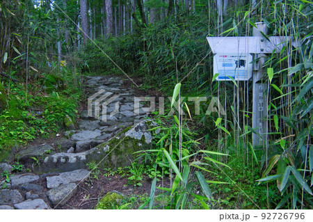 笠取山の登山道の風景 笠取山の登山道の風景 92726796