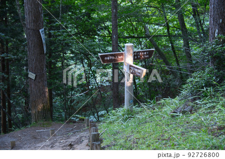 笠取山の登山道の風景 92726800