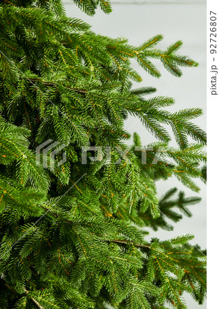 Cropped Shot Of Pine Branch. Abstract Nature Background. Trees, Nature, Christmas Concept. 92726807