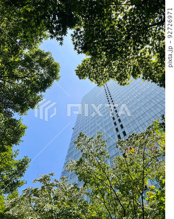 灼熱の夏の高層オフィスビル街を通る緑地歩道 灼熱の夏の高層オフィスビル街を通る緑地歩道 92726971