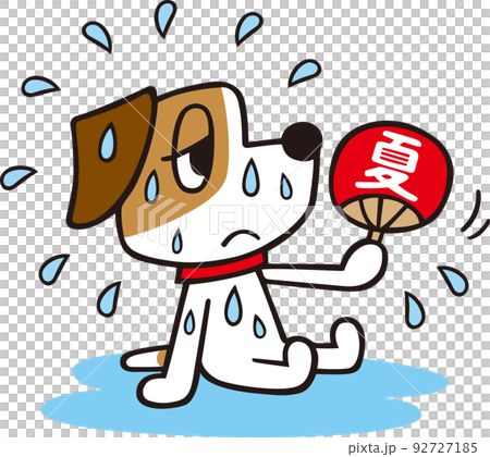 Jack Russell Terrier dog sweating and fanning his fan 92727185