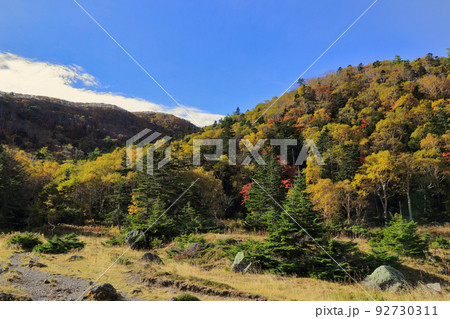 日光白根山の登山道からの風景 日光白根山の登山道からの風景 92730311