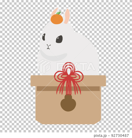 鏡面兔無條紋白 92730487