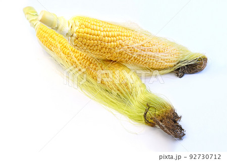 とうもろこし(恵味) とうもろこし(恵味) 92730712