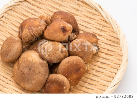 生椎茸のアップ画像 生椎茸のアップ画像 92732088