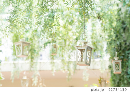植物素材　新緑のお洒落な葉っぱの壁紙 92734159