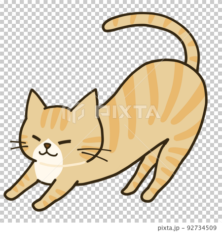 一隻簡單的棕色虎斑貓伸展身體 一隻簡單的棕色虎斑貓伸展身體 92734509