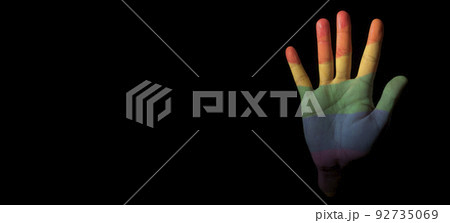 hand patterned with a rainbow flag, banner format 92735069
