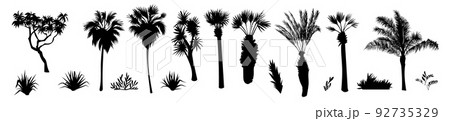 Black Palm Tree Illustration Silhouette Logo Symbol Vector 92735329