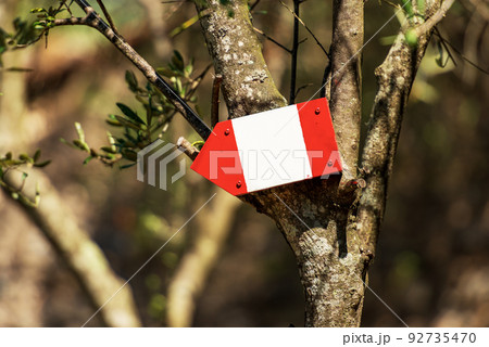 Red and White Directional Trail Sign on a Olive Tree - Liguria Italy 92735470