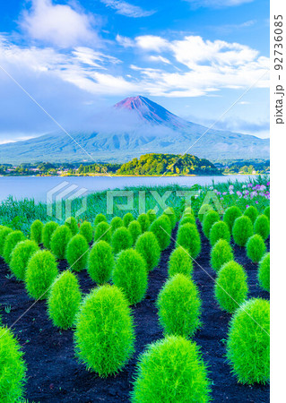 【富士山素材】夏の河口湖から見る富士山【山梨県】 【富士山素材】夏の河口湖から見る富士山【山梨県】 92736085