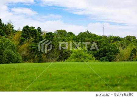 ゴルフ場のティーグラウンドからのコース外の眺め（千葉県富津市） 92736290