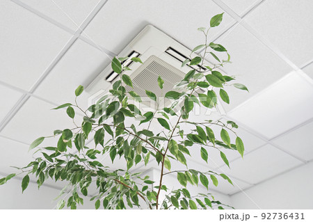 Low angle of assette Air Conditioner on ceiling in modern light office or apartment with green ficus plant leaves. Indoor air quality 92736431