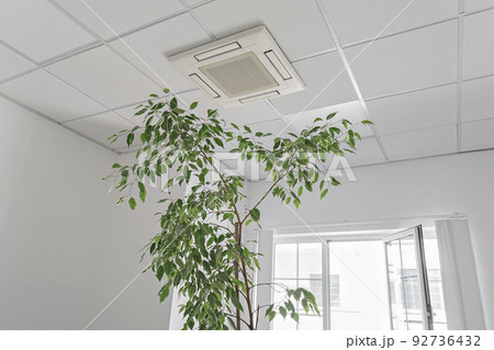 Low angle of assette Air Conditioner on ceiling in modern light office or apartment with green ficus plant leaves. Indoor air quality 92736432