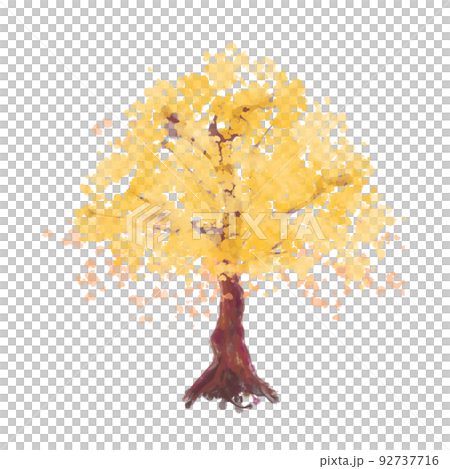 紅葉の木　黄色　イラスト 92737716