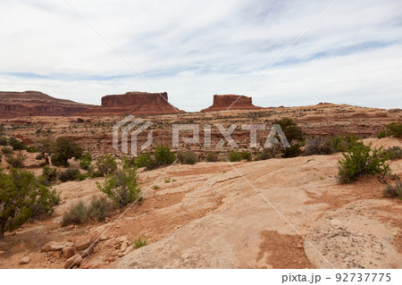 Red Rock Formations and Mountains in the Desert. Red Rock Formations and Mountains in the Desert. 92737775
