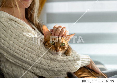 The girl strokes the cat, lying on her hands, on the head. 92738149