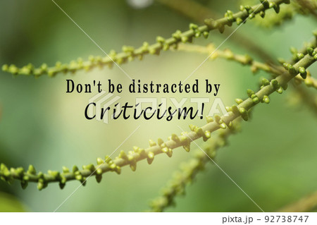 Motivational quote with fresh nature and blurred green leaf background. 92738747