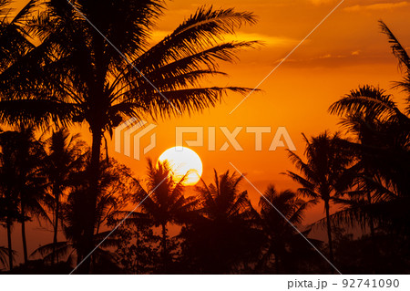 Bright sunset over the lake. The sun had set behind the forest. Yellow sunset. black water. location indonesia java Bright sunset over the lake. The sun had set behind the forest. Yellow sunset. black water. location indonesia java 92741090