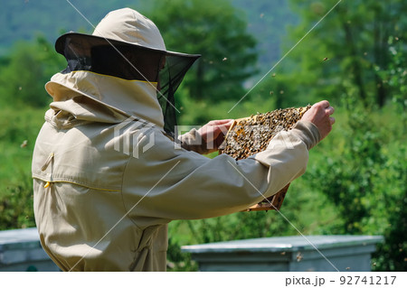 Beekeeper removing honeycomb from beehive. Person in beekeeper suit taking honey from hive. Farmer wearing bee suit working with honeycomb in apiary. Organic farming. Copy-space 92741217