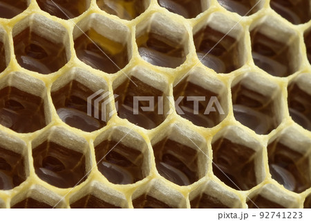 A fragment of a honeycomb with honey. Macro photo. Beekeeping and honey production image. A fragment of a honeycomb with honey. Macro photo. Beekeeping and honey production image. 92741223