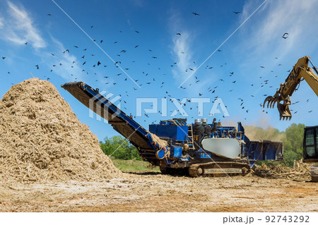Using a stationary industrial shredder, wood chips from roots are made in the shredding machine of a work conveyor. Using a stationary industrial shredder, wood chips from roots are made in the shredding machine of a work conveyor. 92743292