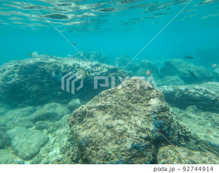 sharks cove snorkeling in oahu hawaii north shore 92744914