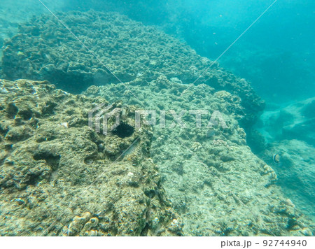 snokeling in kulailai bay oahu hawaii west coast 92744940