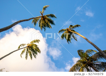 Lanikai Beach, Kailua, Oahu, Hawaii at sunrise 92744979