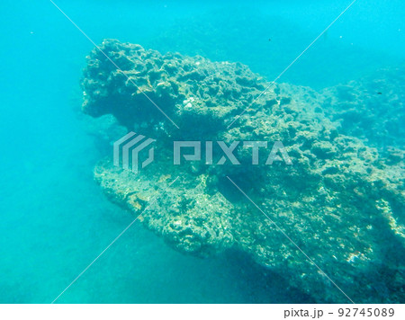 sharks cove snorkeling in oahu hawaii north shore 92745089