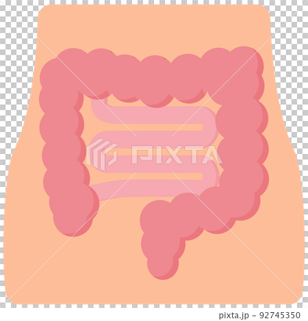 小腸大腸 92745350