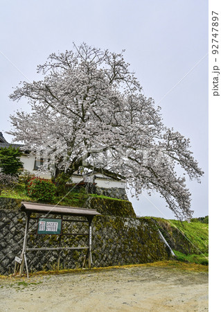 春の橘寺(奈良) 春の橘寺(奈良) 92747897