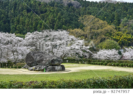 国営飛鳥歴史公園石舞台地区 石舞台古墳と桜 国営飛鳥歴史公園石舞台地区 石舞台古墳と桜 92747957