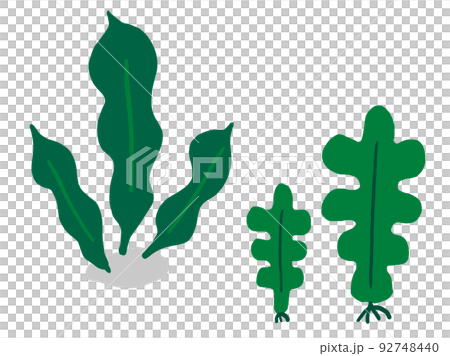 Cute seaweed konbu and seaweed / hand-drawn illustration material 92748440