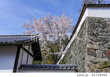 青空バックに見る満開の桜と寺院のコラボ情景@奈良 青空バックに見る満開の桜と寺院のコラボ情景@奈良 92748460