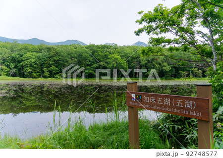 世界自然遺産 夏の知床五湖 世界自然遺産 夏の知床五湖 92748577