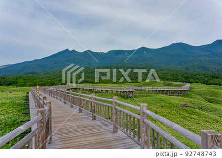 世界自然遺産 夏の知床五湖 世界自然遺産 夏の知床五湖 92748743