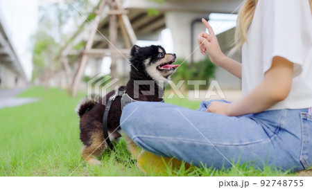 Happy young asian woman playing and sitting on grass in the park with her dog. Pet lover concept Happy young asian woman playing and sitting on grass in the park with her dog. Pet lover concept 92748755