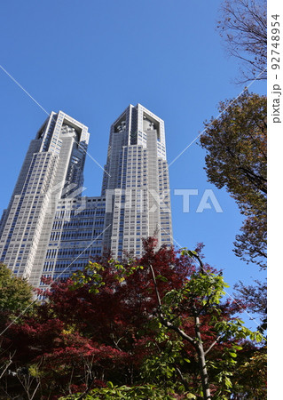 東京都新宿区新宿中央公園の秋の風景 92748954