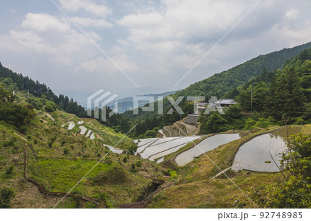泉谷棚田 92748985