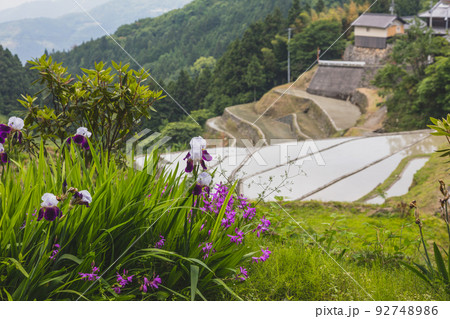 泉谷棚田 92748986