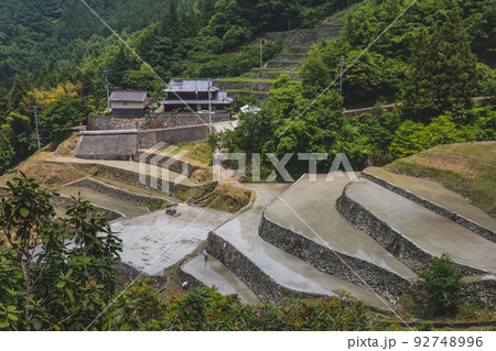 泉谷棚田 92748996