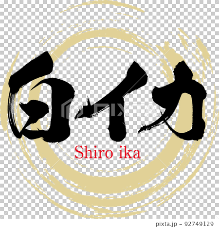 白烏賊（鳥取特產、美食） 92749129